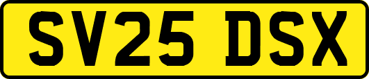 SV25DSX