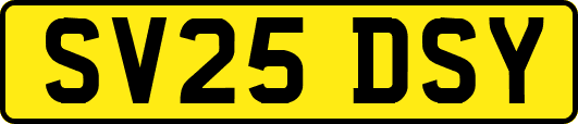 SV25DSY