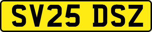 SV25DSZ