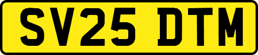 SV25DTM