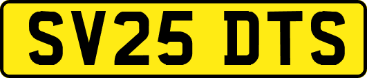 SV25DTS