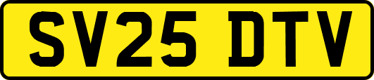 SV25DTV
