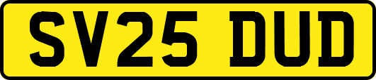 SV25DUD