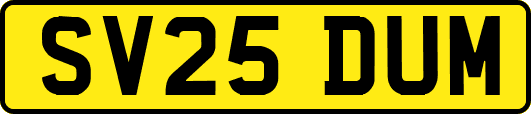 SV25DUM