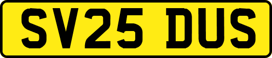 SV25DUS
