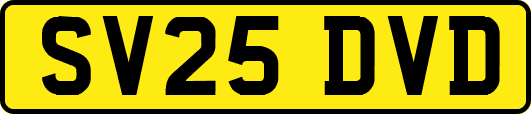 SV25DVD