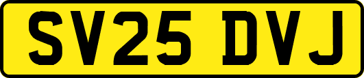 SV25DVJ