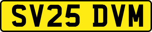 SV25DVM