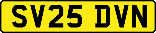 SV25DVN