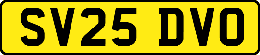 SV25DVO