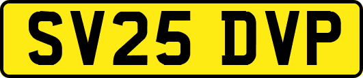 SV25DVP