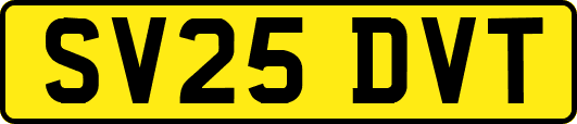 SV25DVT