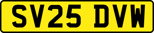 SV25DVW