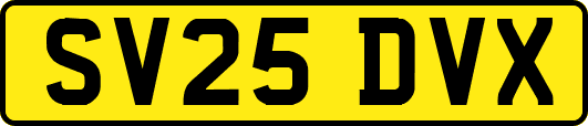 SV25DVX