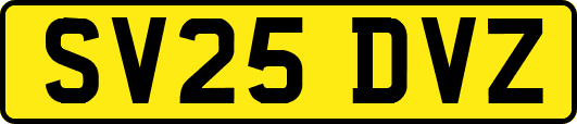 SV25DVZ