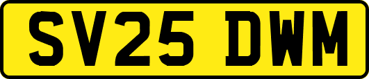 SV25DWM