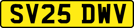 SV25DWV