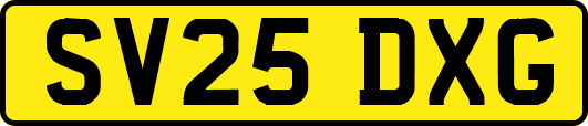 SV25DXG