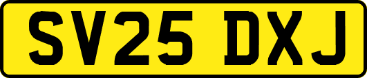 SV25DXJ