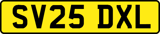 SV25DXL