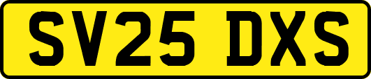 SV25DXS