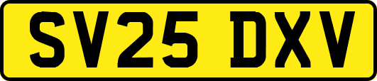 SV25DXV