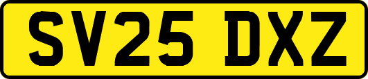 SV25DXZ