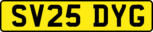 SV25DYG
