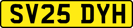 SV25DYH