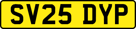 SV25DYP