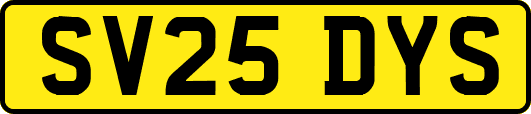 SV25DYS