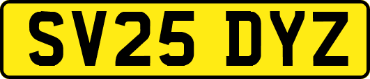 SV25DYZ