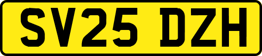 SV25DZH