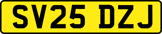 SV25DZJ