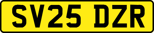SV25DZR