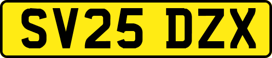 SV25DZX
