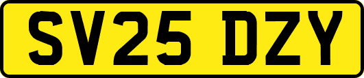 SV25DZY
