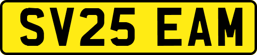 SV25EAM