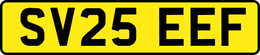 SV25EEF