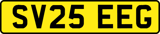 SV25EEG