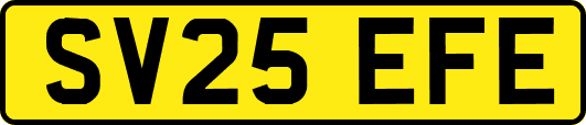 SV25EFE
