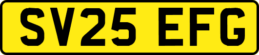 SV25EFG