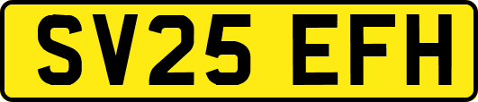 SV25EFH