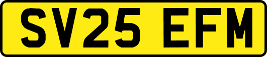SV25EFM