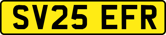 SV25EFR