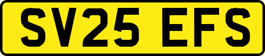 SV25EFS