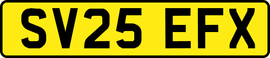 SV25EFX