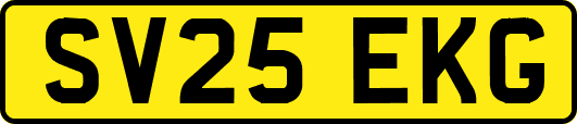 SV25EKG