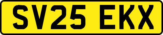 SV25EKX