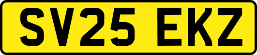 SV25EKZ